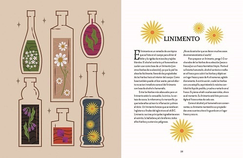 Magia Tradicional. Guía de la bruja del bosque - Imagen 2