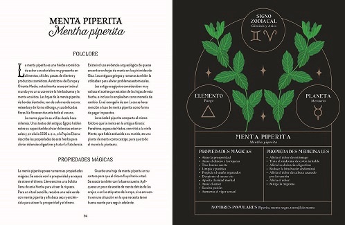 Magia Tradicional. Guía de la bruja del bosque - Imagen 4