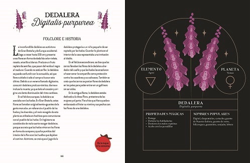 Magia Tradicional. Guía de la bruja del bosque - Imagen 5
