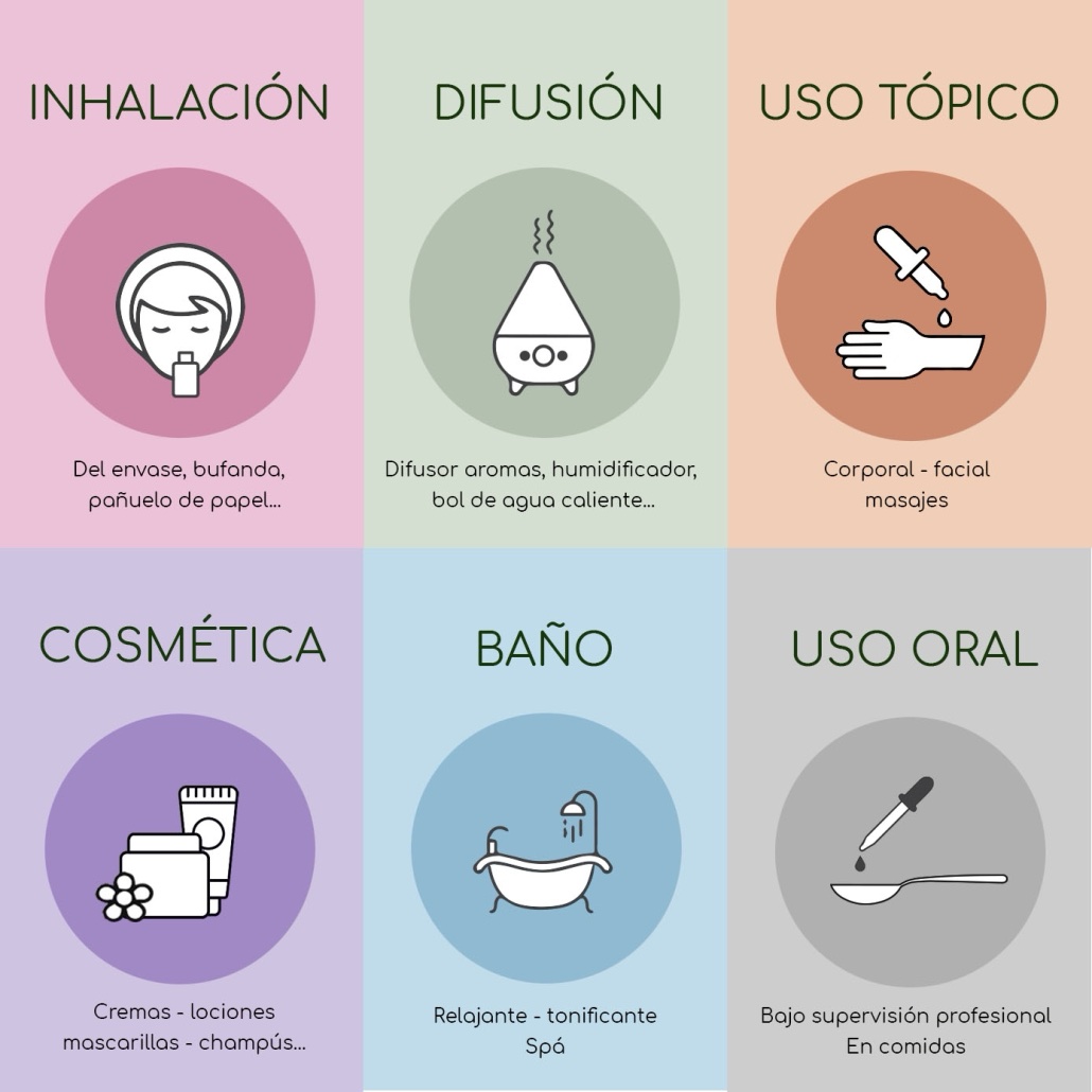Aceite esencial Eucalipto - Imagen 2