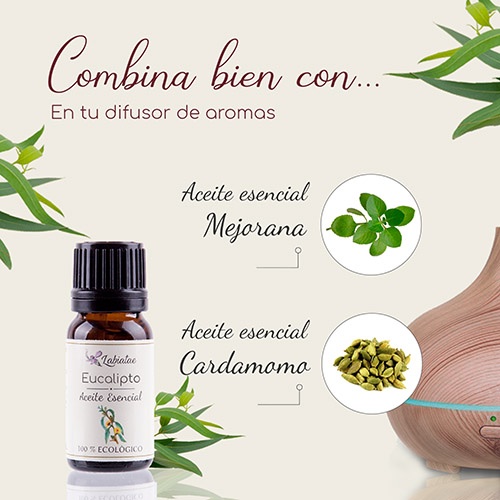 Aceite esencial Eucalipto - Imagen 3