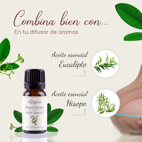 Aceite esencial Ravintsara - Imagen 2