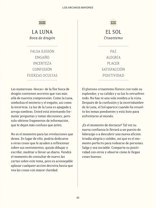 Tarot Floral - Imagen 3