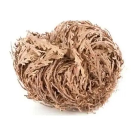 Rosa de Jericó