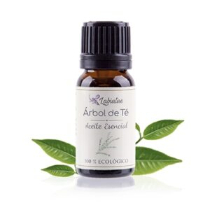 Aceite esencial Árbol de té